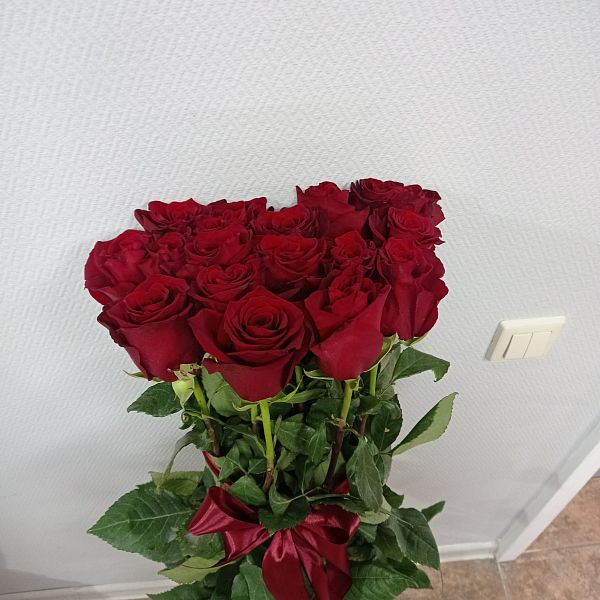 Букет из 19 роз, 120 см
