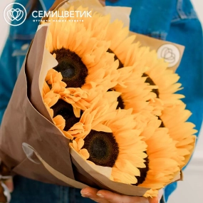 Букет из 9 подсолнухов в упаковке