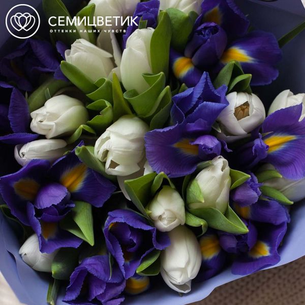 Букет из 10 синих ирисов и 15 белых тюльпанов
