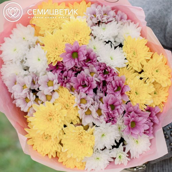 Букет из 11 кустовых хризантем микс
