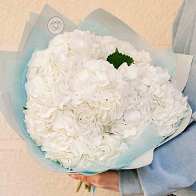 Букет из 7 белых гортензий в белой пленке