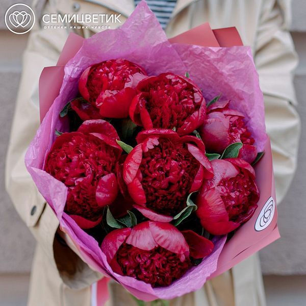 Букет из 7 бордовых пионов Premium
