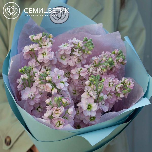 Букет из 9 розовых махровых маттиол