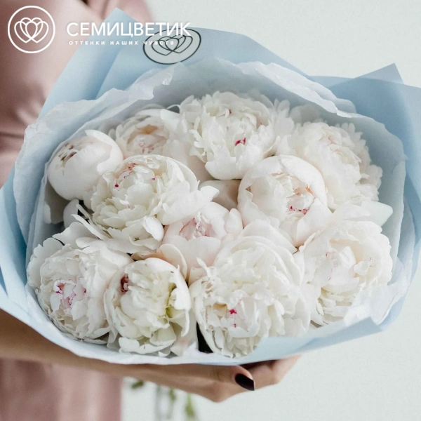 Букет из 11 нежно-розовых пионов Standart Plus в голубой пленке