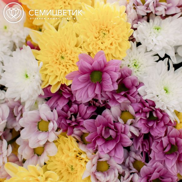 Букет из 11 кустовых хризантем микс