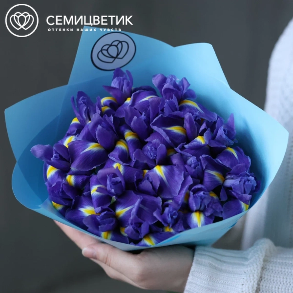 Букет из 19 синих ирисов в голубой пленке