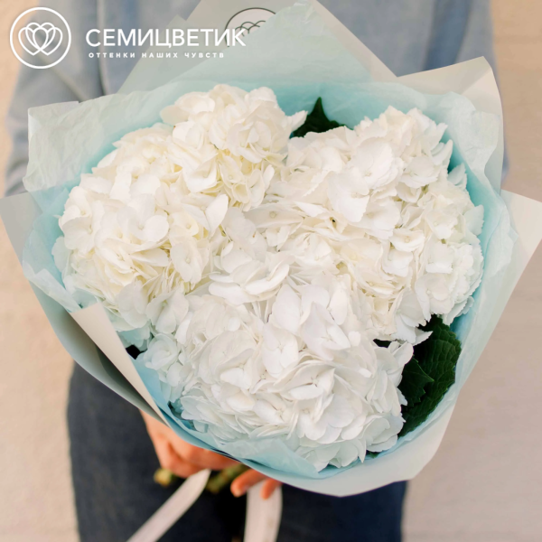 Букет из 3 белых гортензий в белой пленке