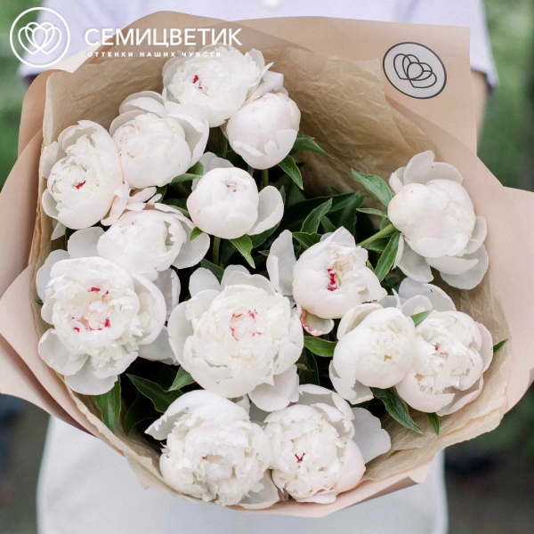 Букет из 15 нежно-розовых пионов Standart в кремовой пленке