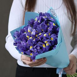 Букет из 25 синих ирисов