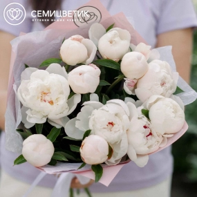 Букет из 11 нежно-розовых пионов Standart в розовой пленке