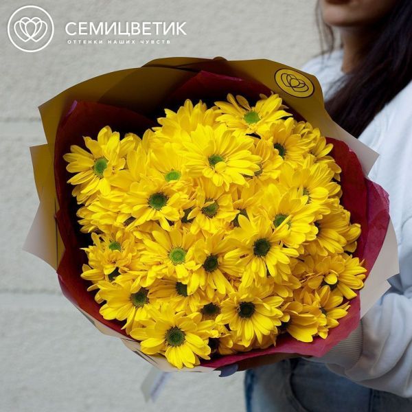 Букет из 11 жёлтых кустовых хризантем в кремовой пленке