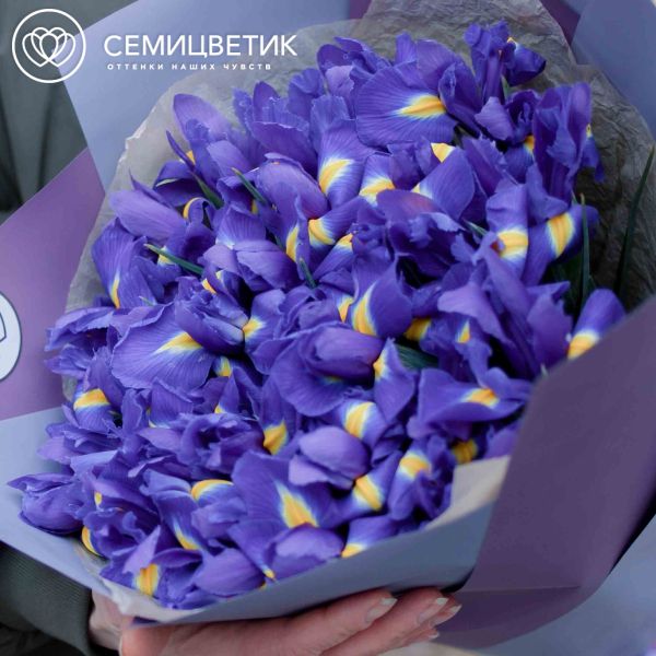 Букет из 35 синих ирисов