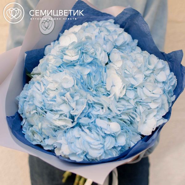 Букет из 5 голубых гортензий