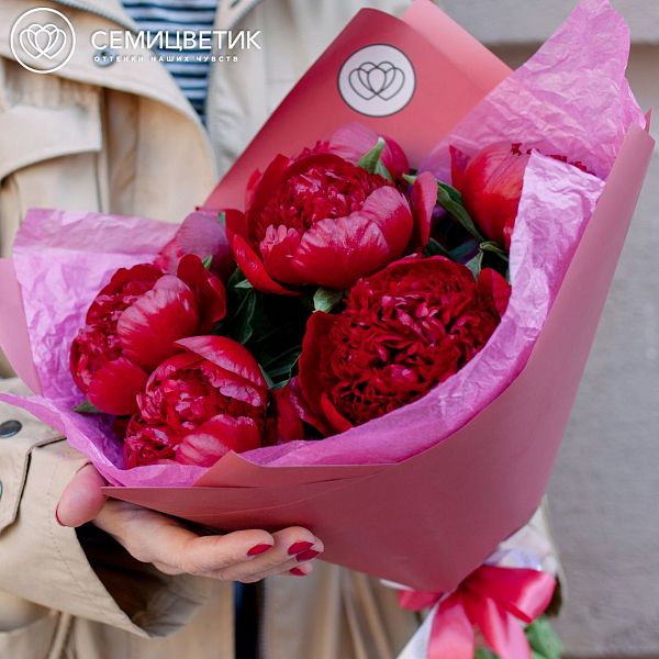 9 бордовых пионов Premium