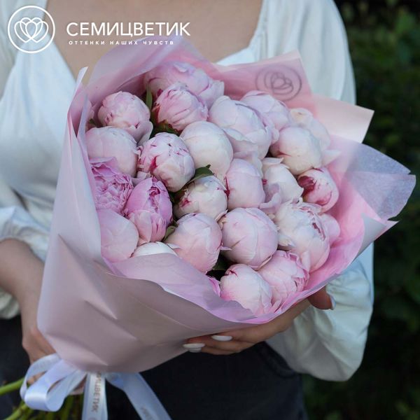 Букет из 25 розовых пионов Standart Plus в зеленой пленке