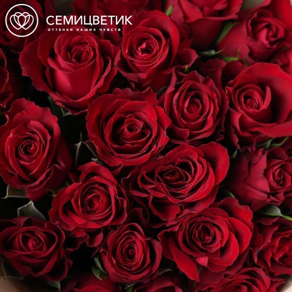 Букет из 25 красных роз 40 см (Кения) в кремовой упаковке