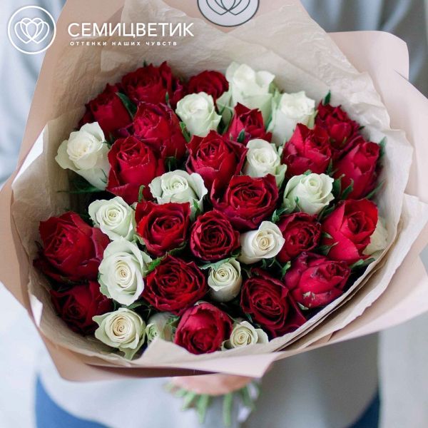 Букет из 35 красных и белых роз 40 см (Кения) в кремовой пленке