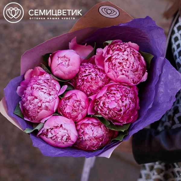 Букет из 7 ярко-розовых пионов Premium в упаковке