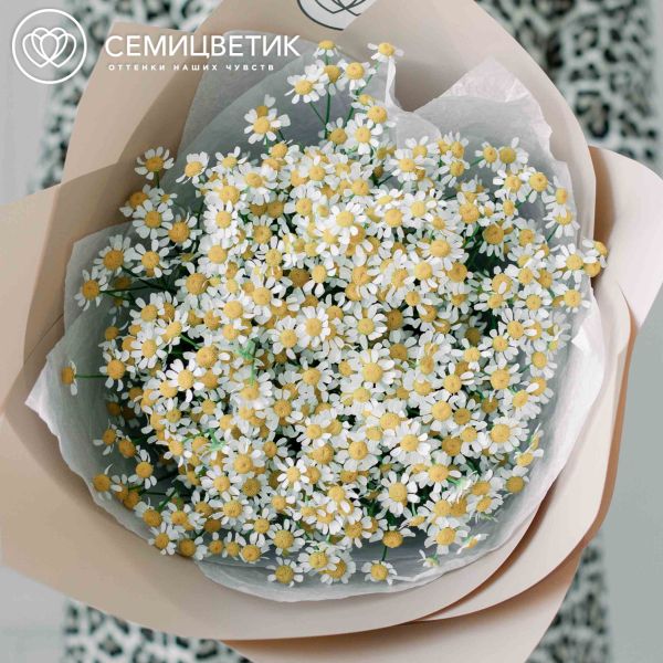Букет из 15 матрикарий (ромашек)