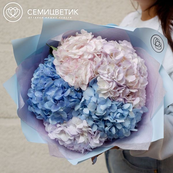 Букет из 5 сиреневых, голубых и розовой гортензии в голубой пленке