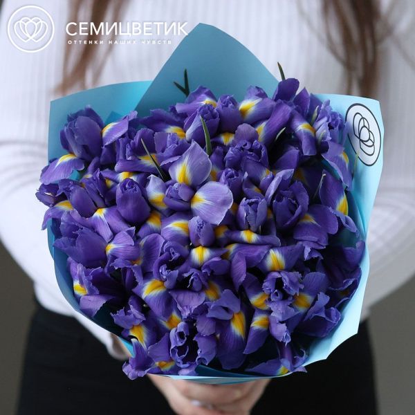 Букет из 25 синих ирисов