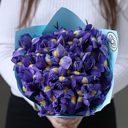 Букет из 25 синих ирисов