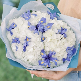 Букет из 3 белых гортензий и 10 синих ирисов в голубой пленке