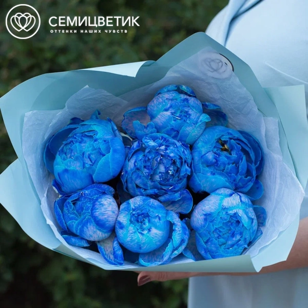 Букет из 7 синих пионов Premium в голубой пленке