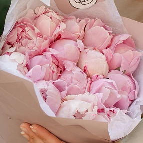 Букет из 15 розовых пионов Premium в розовой пленке