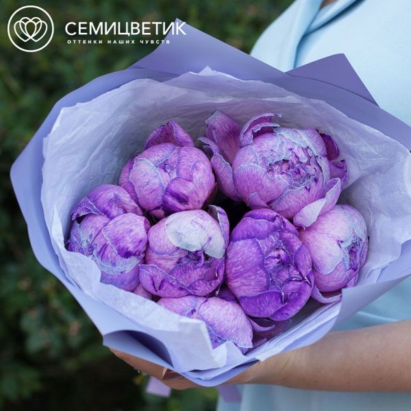 Букет из 7 фиолетовых пионов Premium в сиреневой пленке