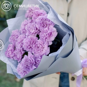 Букет из 15 сиреневых (лунных) гвоздик в голубой пленке