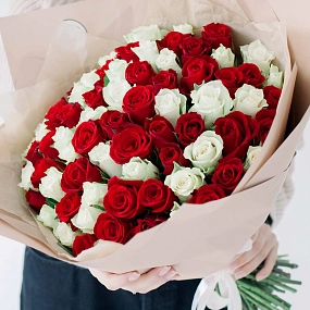 Букет из 75 красных и белых роз 40 см (Кения) в кремовой пленке