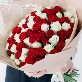 Букет из 75 красных и белых роз 40 см (Кения) в кремовой пленке