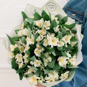Букет из 23 белых альстромерий в зеленой пленке