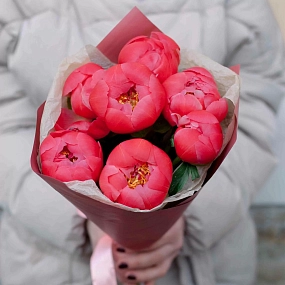 Букет из 7 коралловых пионов Coral Sunset Premium в розовой пленке