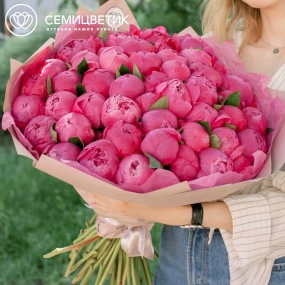 Букет из 51 ярко-розового пиона Premium в розовой пленке