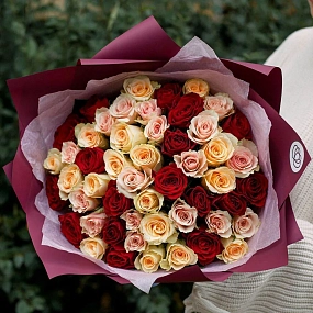 Букет из 51 кремовой, нежно-розовой и красной розы 40 см (Кения) в голубой пленке