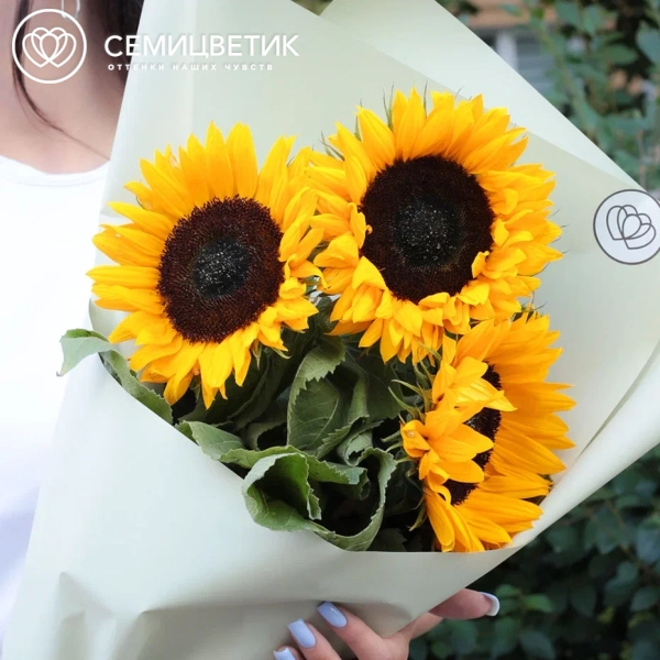 Букет из 3 подсолнухов в зеленой пленке