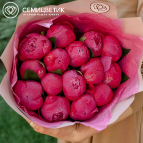Букет из 15 ярко-розовых пионов Premium в розовой пленке