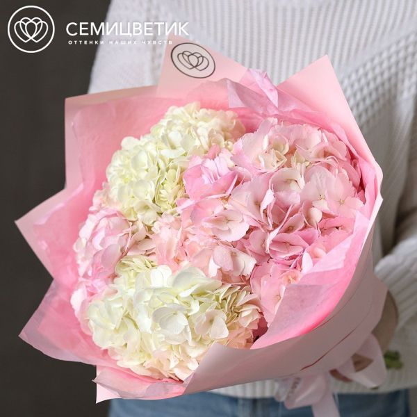 Букет из 5 белых и розовых гортензий