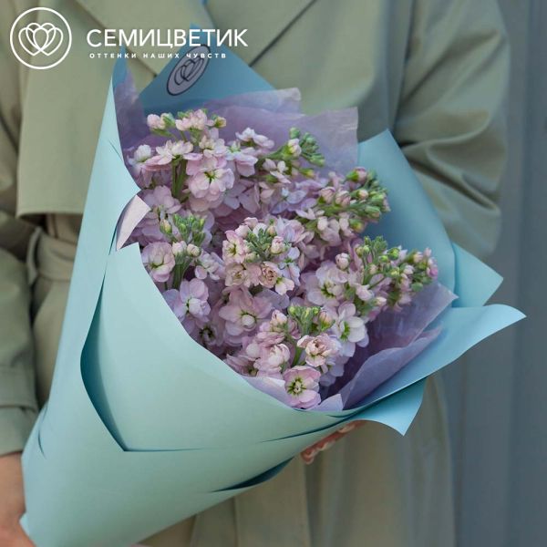 Букет из 9 розовых махровых маттиол
