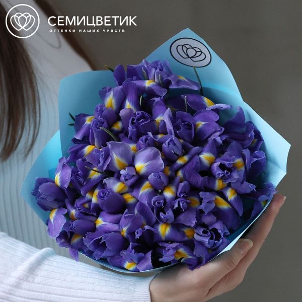 Букет из 25 синих ирисов в голубой пленке