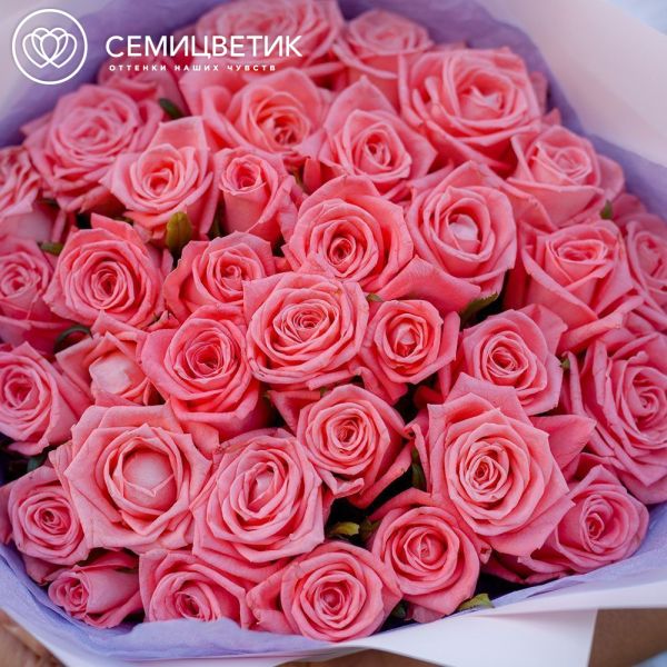 Букет из 35 коралловых роз 35-40 см (Россия)