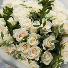 Букет из 51 белой розы 35-40 см (Россия) с фисташкой в прозрачной пленке