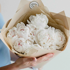 Букет из 9 нежно-розовых пионов Standart Plus в кремовой пленке