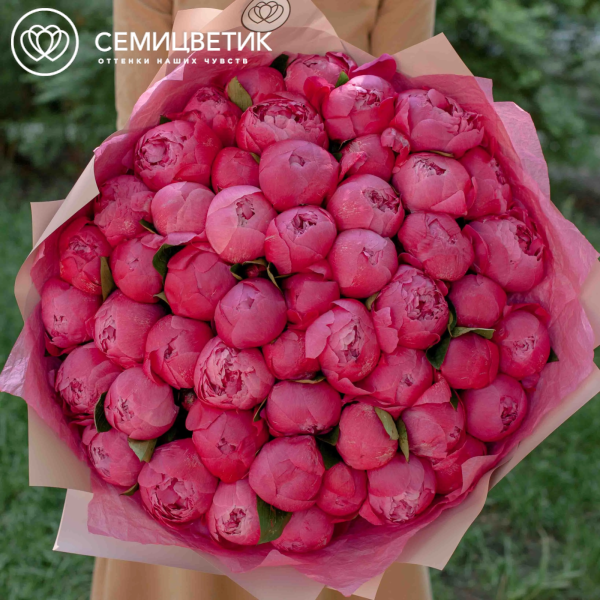 Букет из 51 ярко-розового пиона Command Performance Premium в розовой пленке