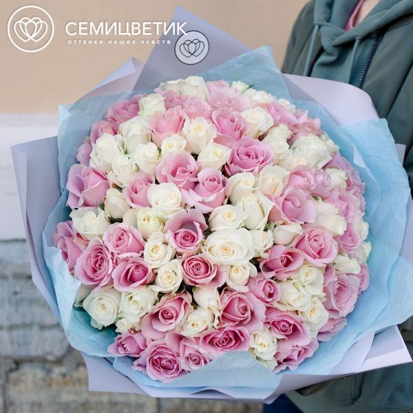 Букет из 101 белой и розовой розы 35-40 см (Россия)