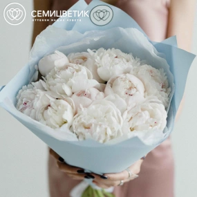 Букет из 11 нежно-розовых пионов Standart Plus в голубой пленке