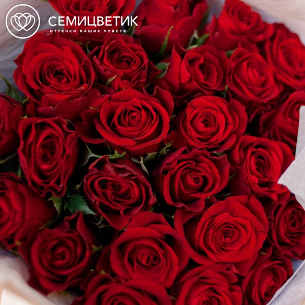Букет из 35 красных роз 30 см (Кения)