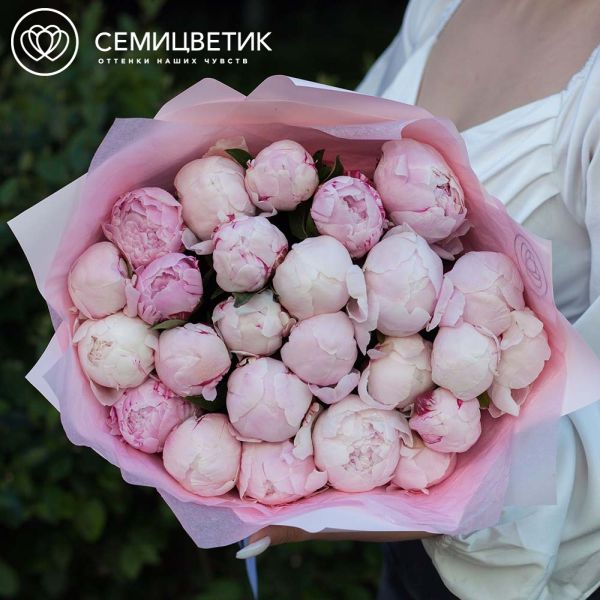 Букет из 25 розовых пионов Standart Plus в зеленой пленке